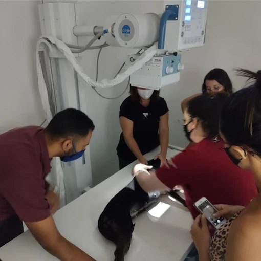 Equipe do CAV posicionando um paciente para o raio-X